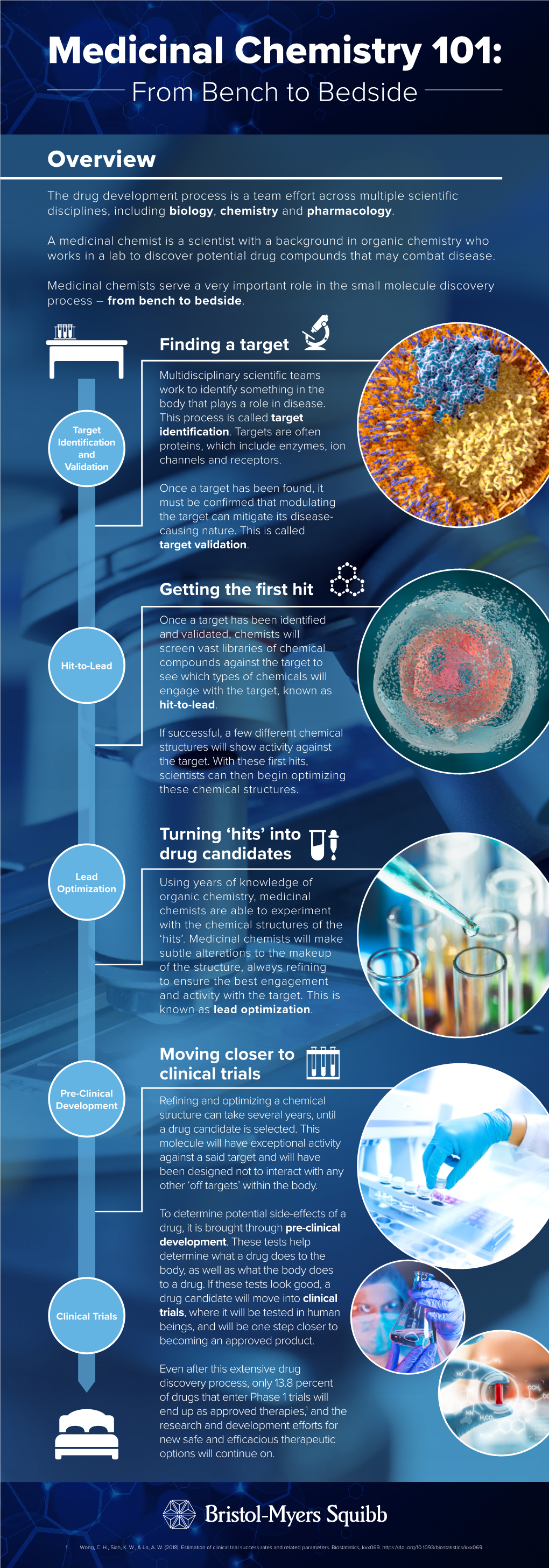 Medicinal Chemistry 101 Overview