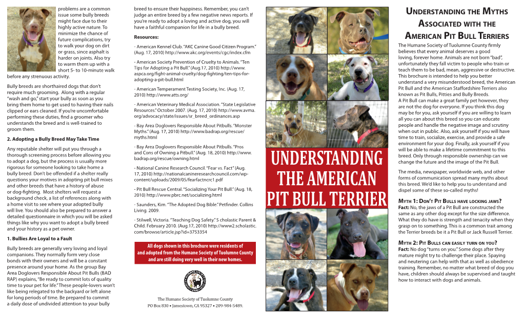 Understanding the American Pit Bull Terrier