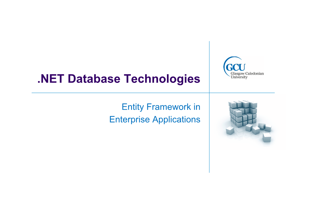 NET Database Technologies