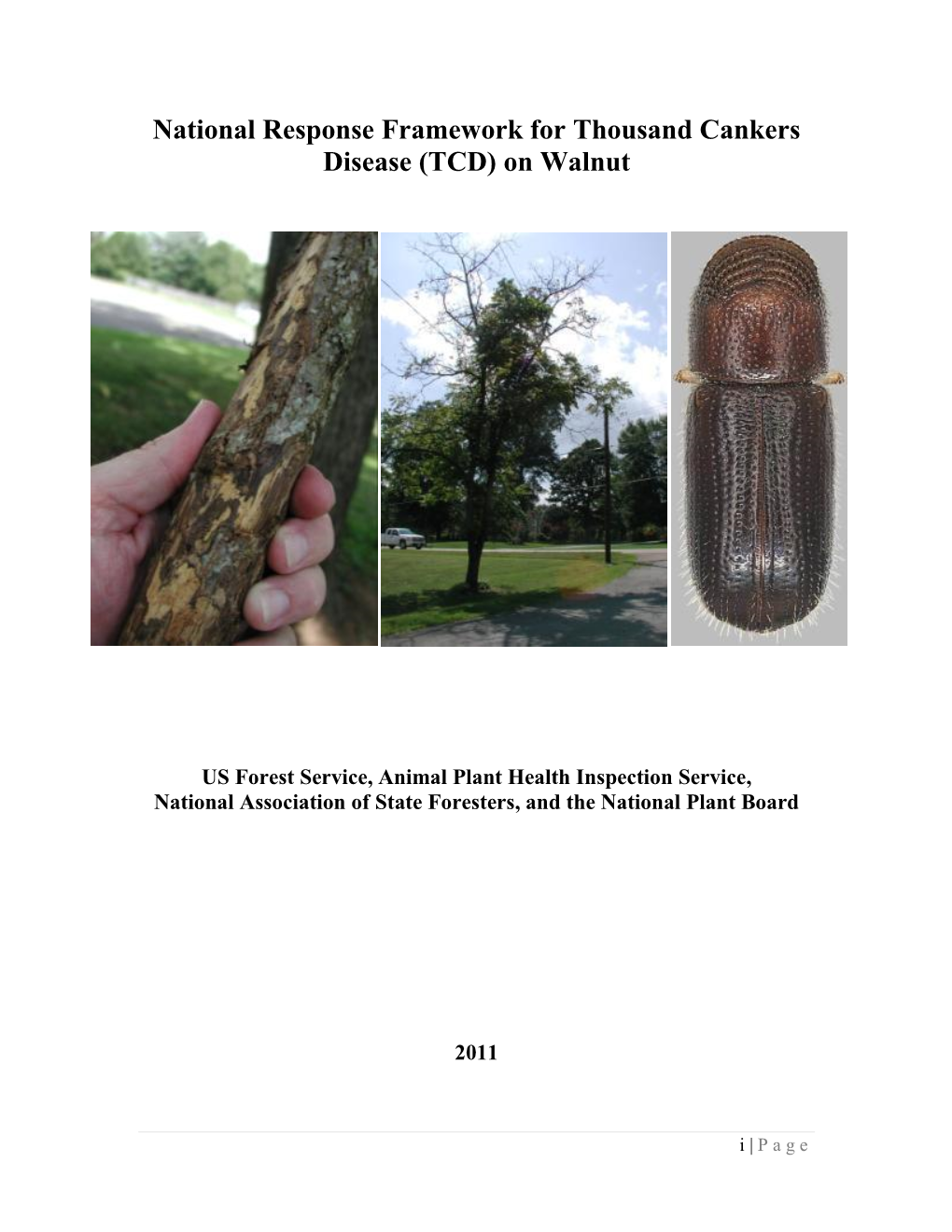 National Response Framework for Thousand Cankers Disease (TCD) on Walnut