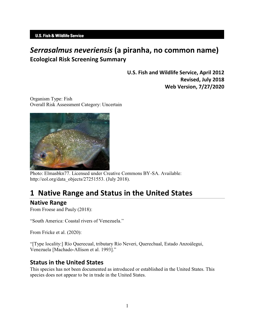 Serrasalmus Neveriensis (A Piranha, No Common Name) Ecological Risk Screening Summary