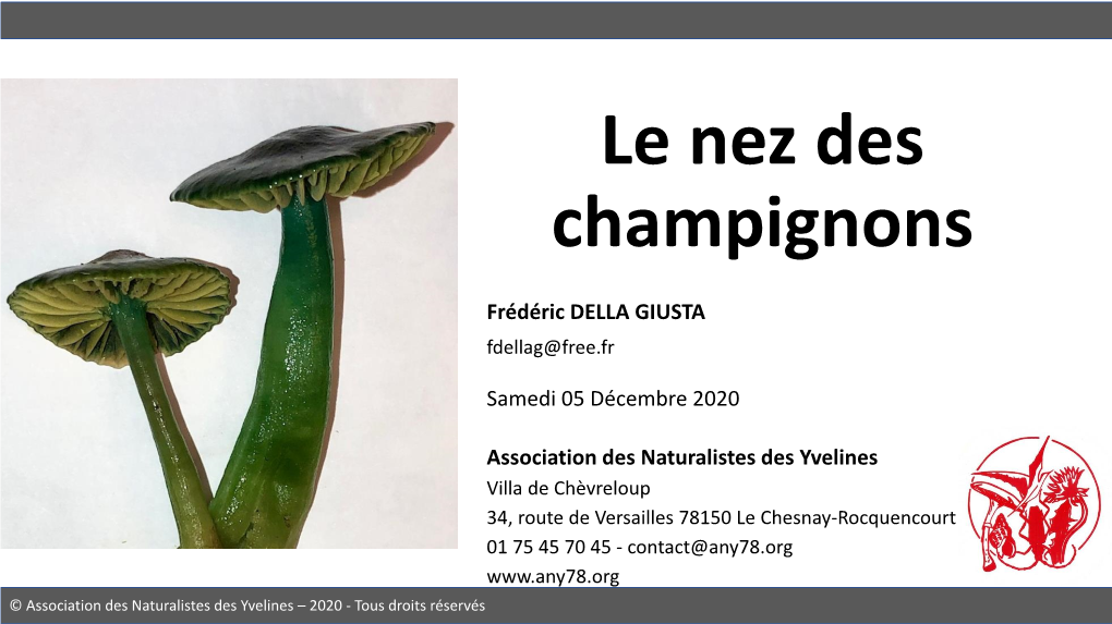 Le Nez Des Champignons