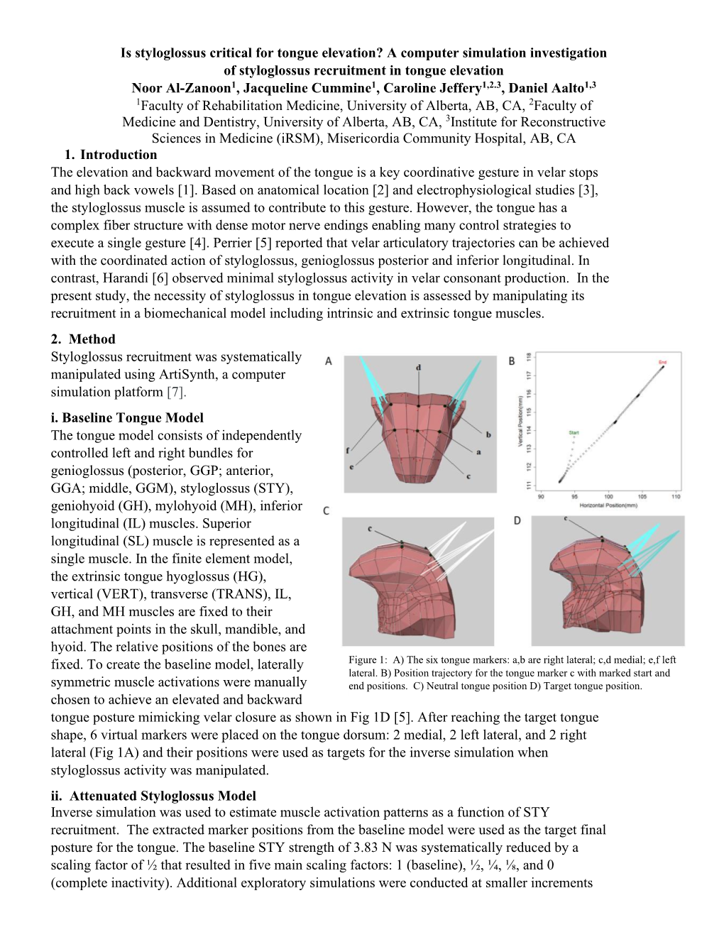 Is Styloglossus Critical for Tongue Elevation?