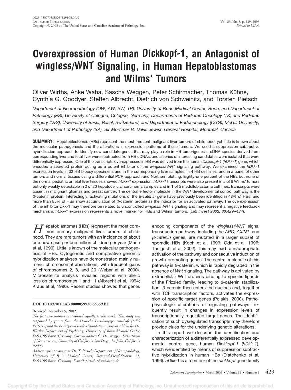 Overexpression of Human Dickkopf-1, an Antagonist of Wingless/WNT
