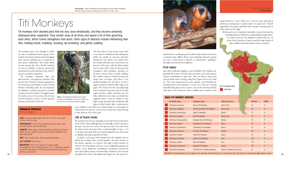 Titi Monkeys Form Monogamous Pairs