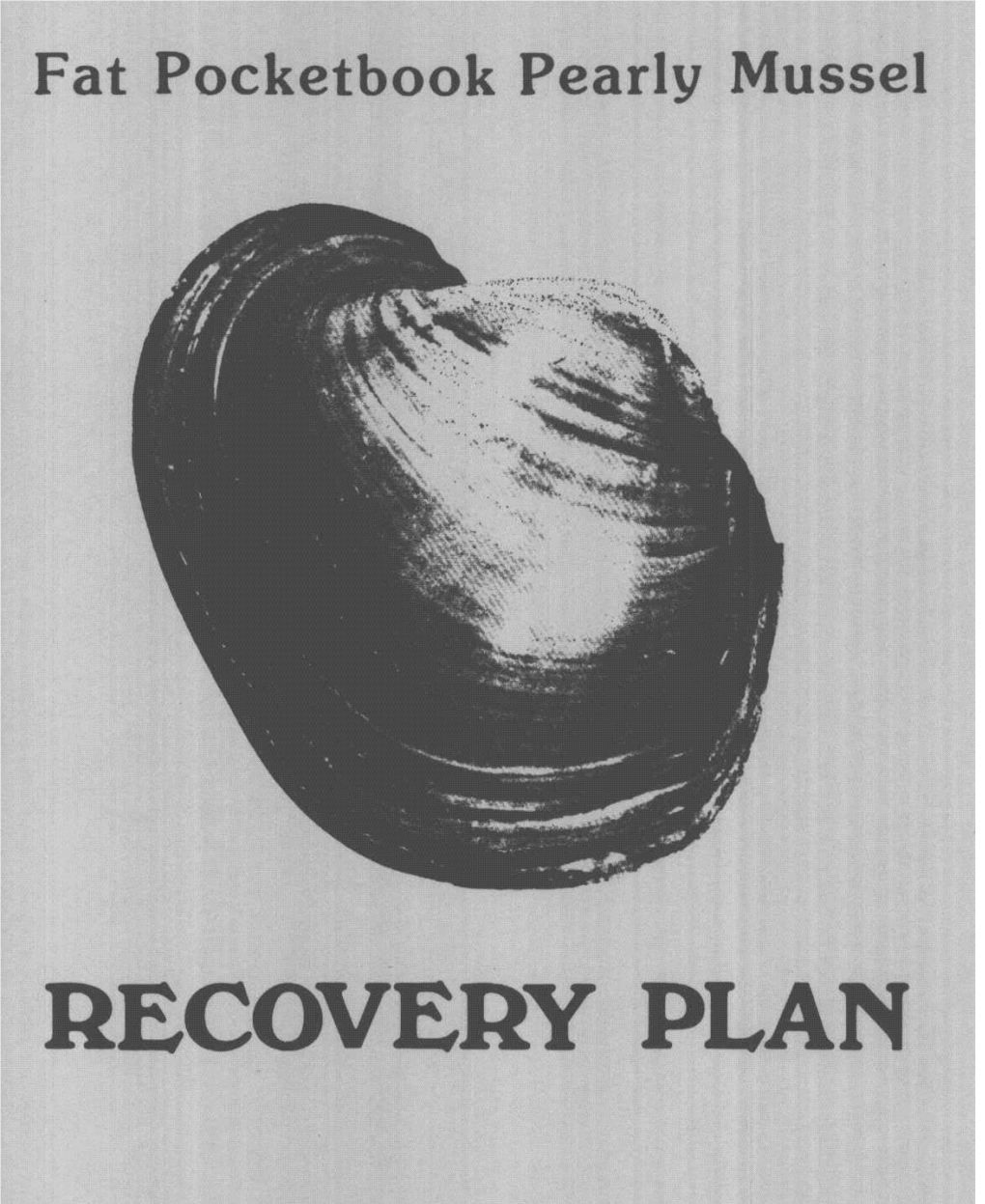RECOVERY PLAN a RECOVERY PLAN for the FAT POCKETBOOK PEARLY MUSSEL Potamilus Capax (Green 1832)