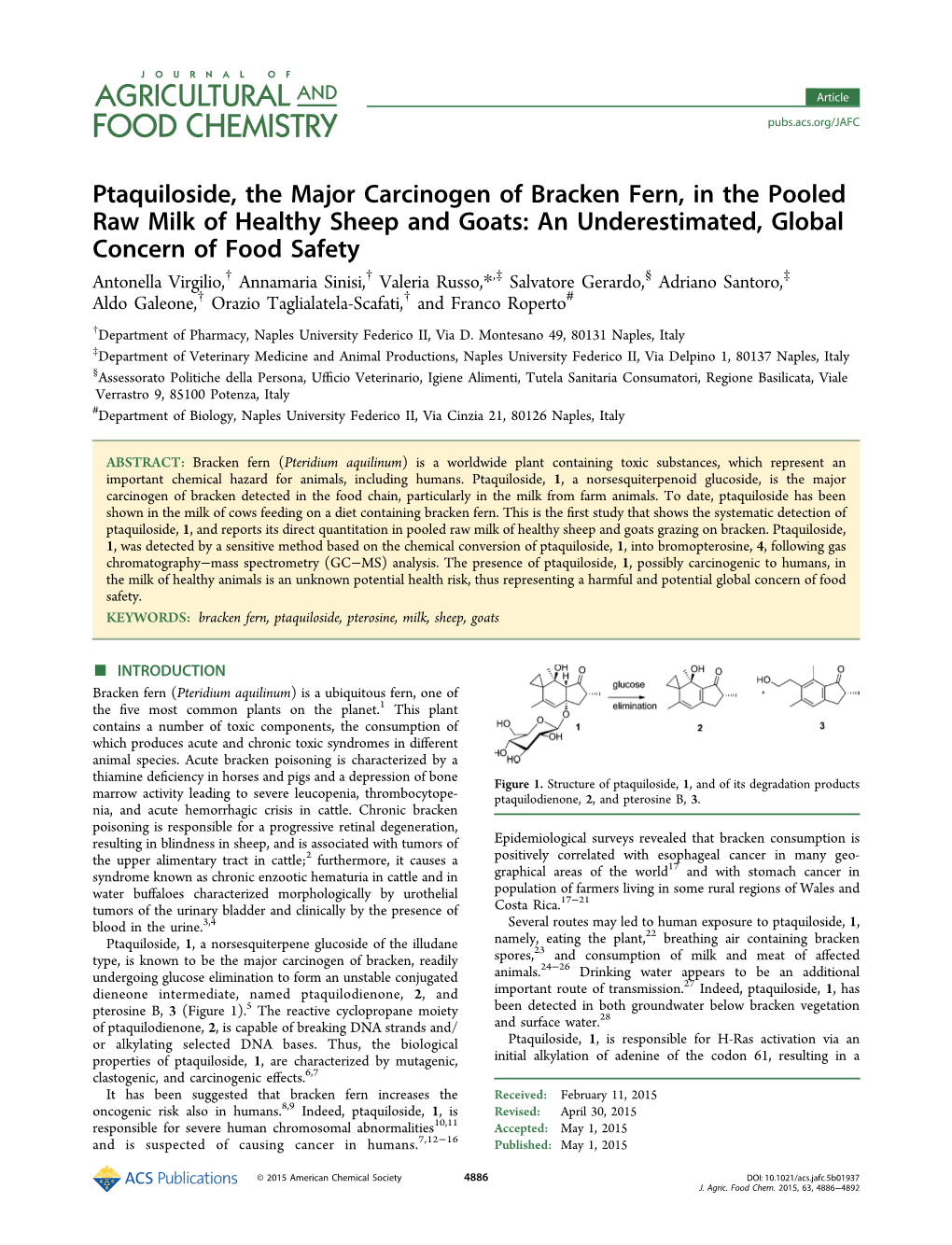 Ptaquiloside, the Major Carcinogen of Bracken Fern, in the Pooled Raw Milk of Healthy Sheep and Goats: an Underestimated, Global