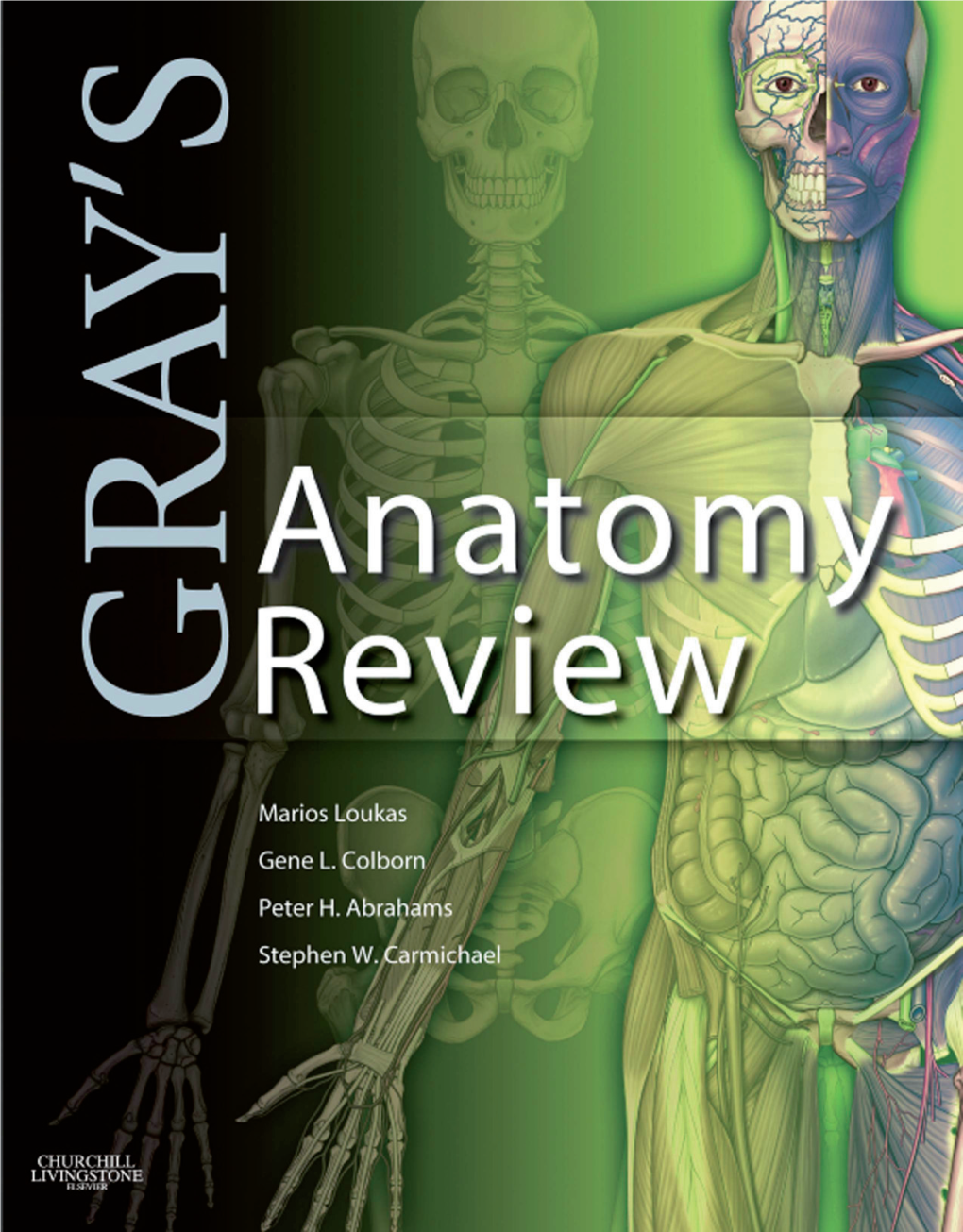 Gray's Anatomy Review