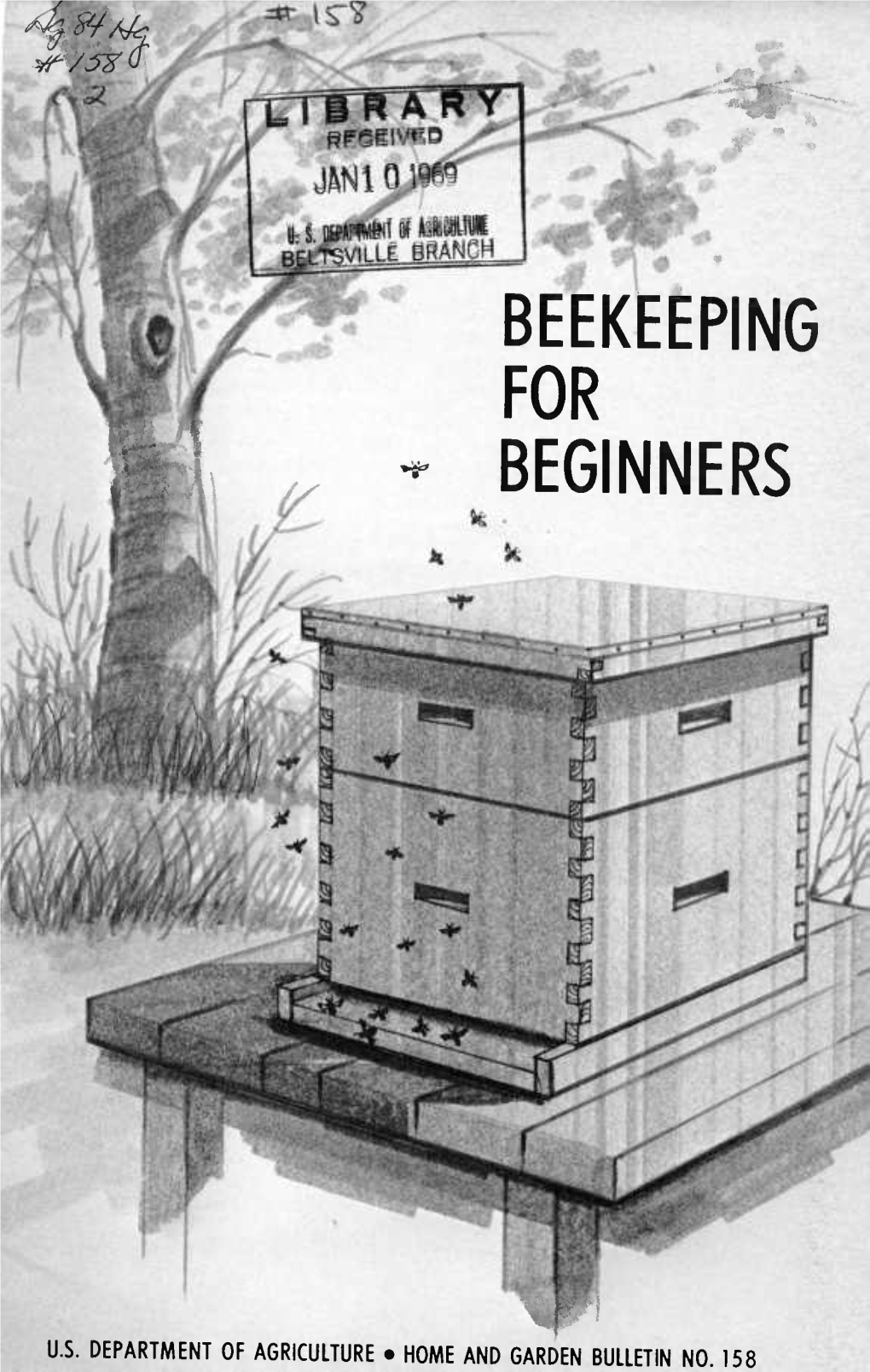 Beekeeping for Beginners