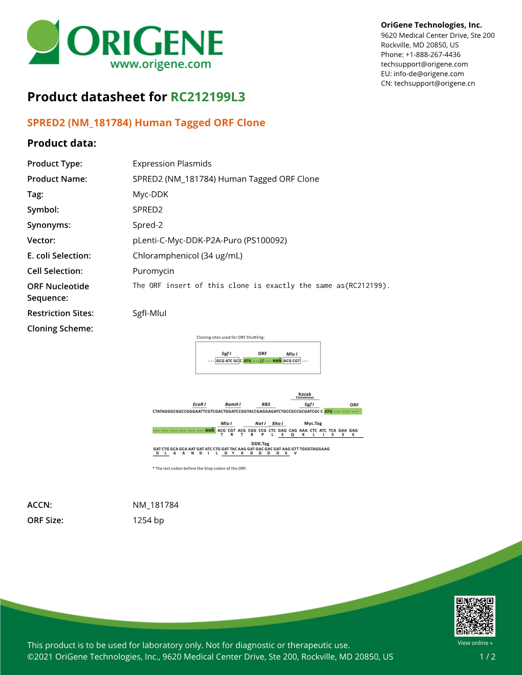 SPRED2 (NM 181784) Human Tagged ORF Clone Product Data