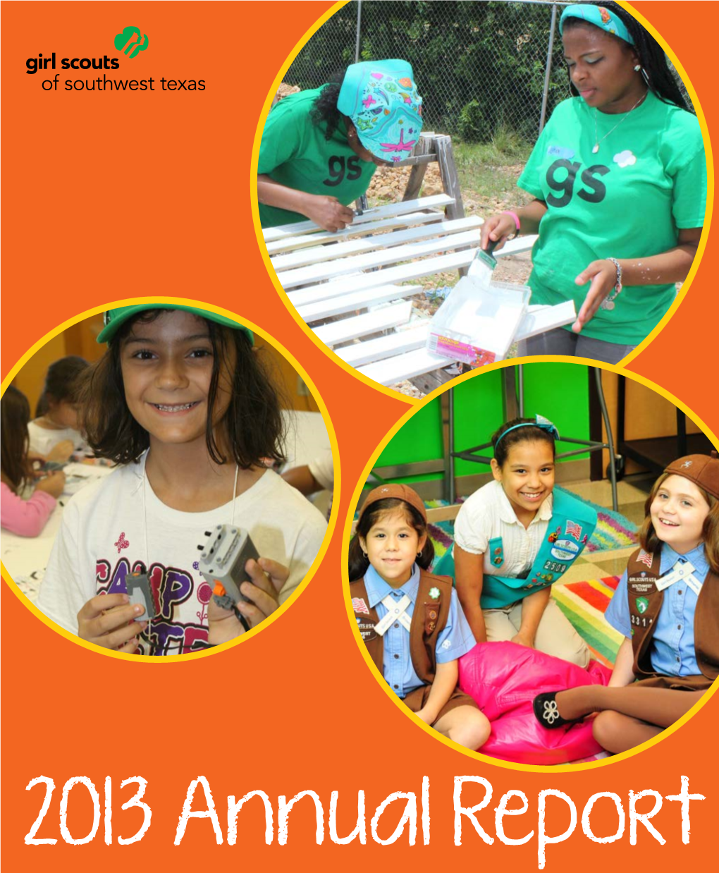 Annual Report 2013