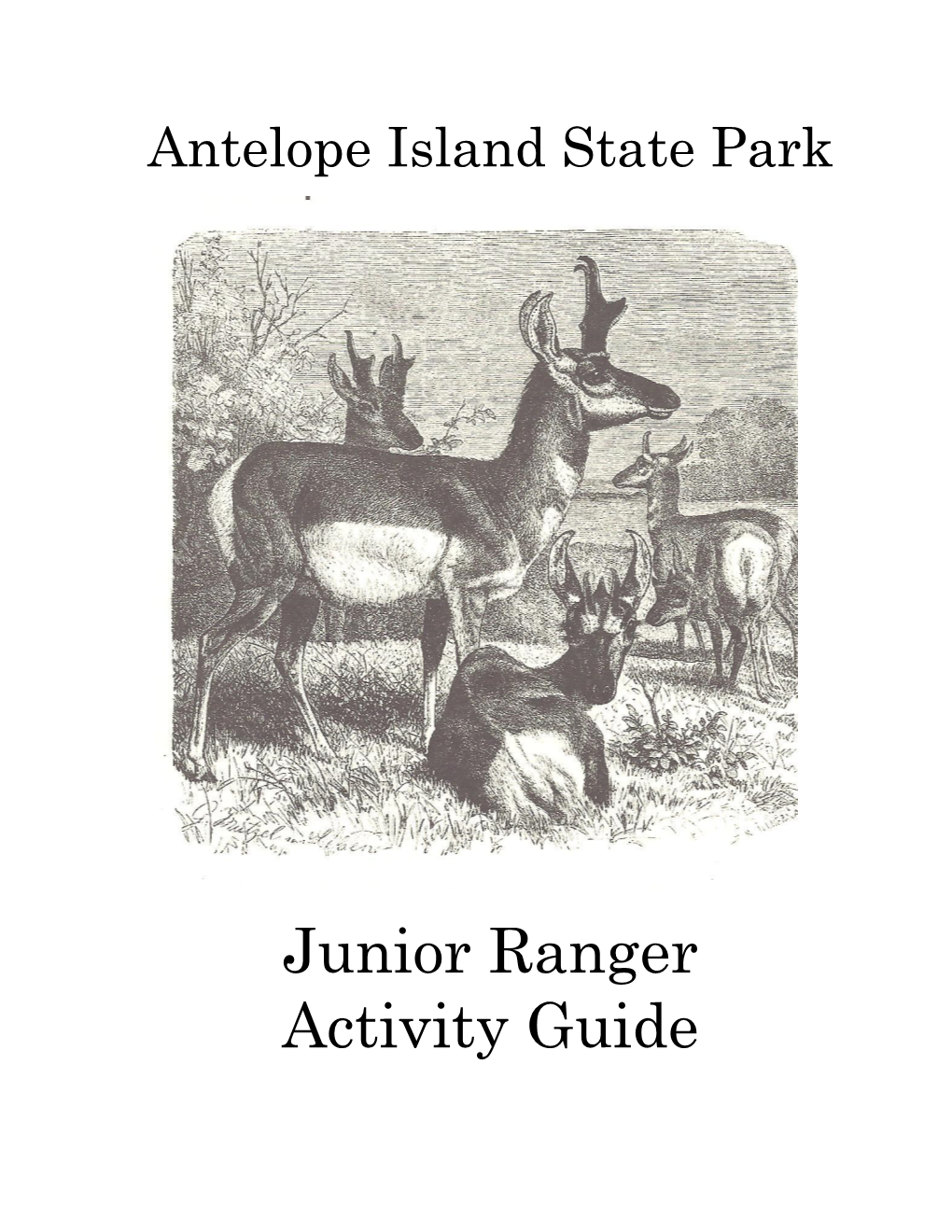 Junior Ranger Booklet