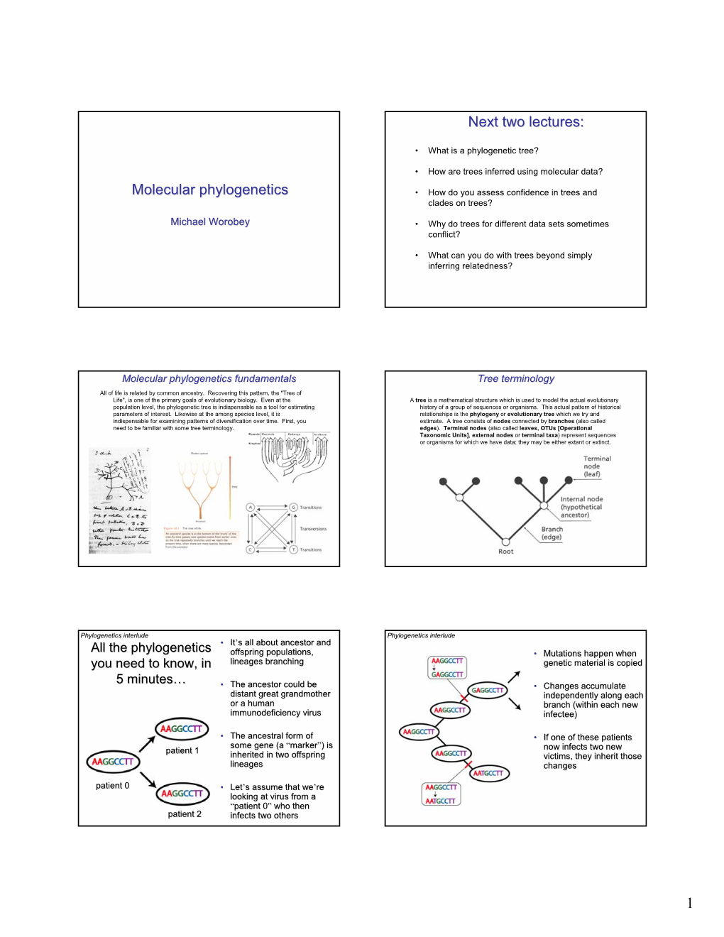 Molecular Phylogenetics Next Two Lectures