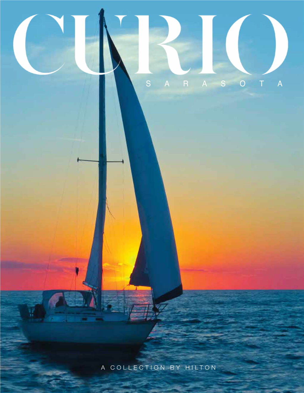 Sarasota Curio