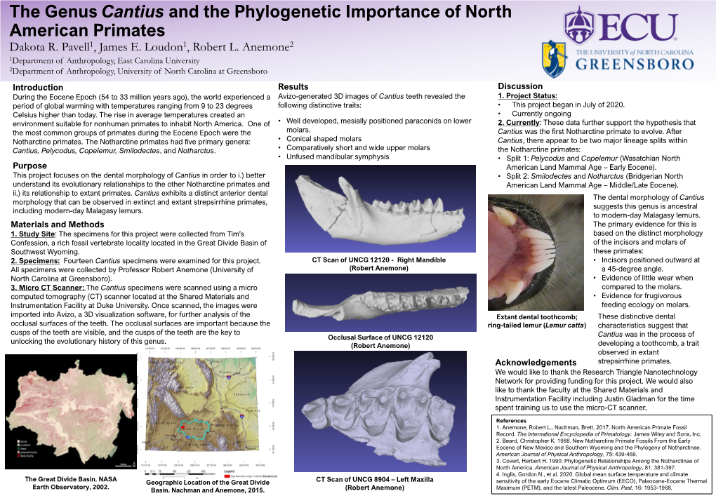 The Genus Cantius and the Phylogenetic Importance of North American Primates Dakota R