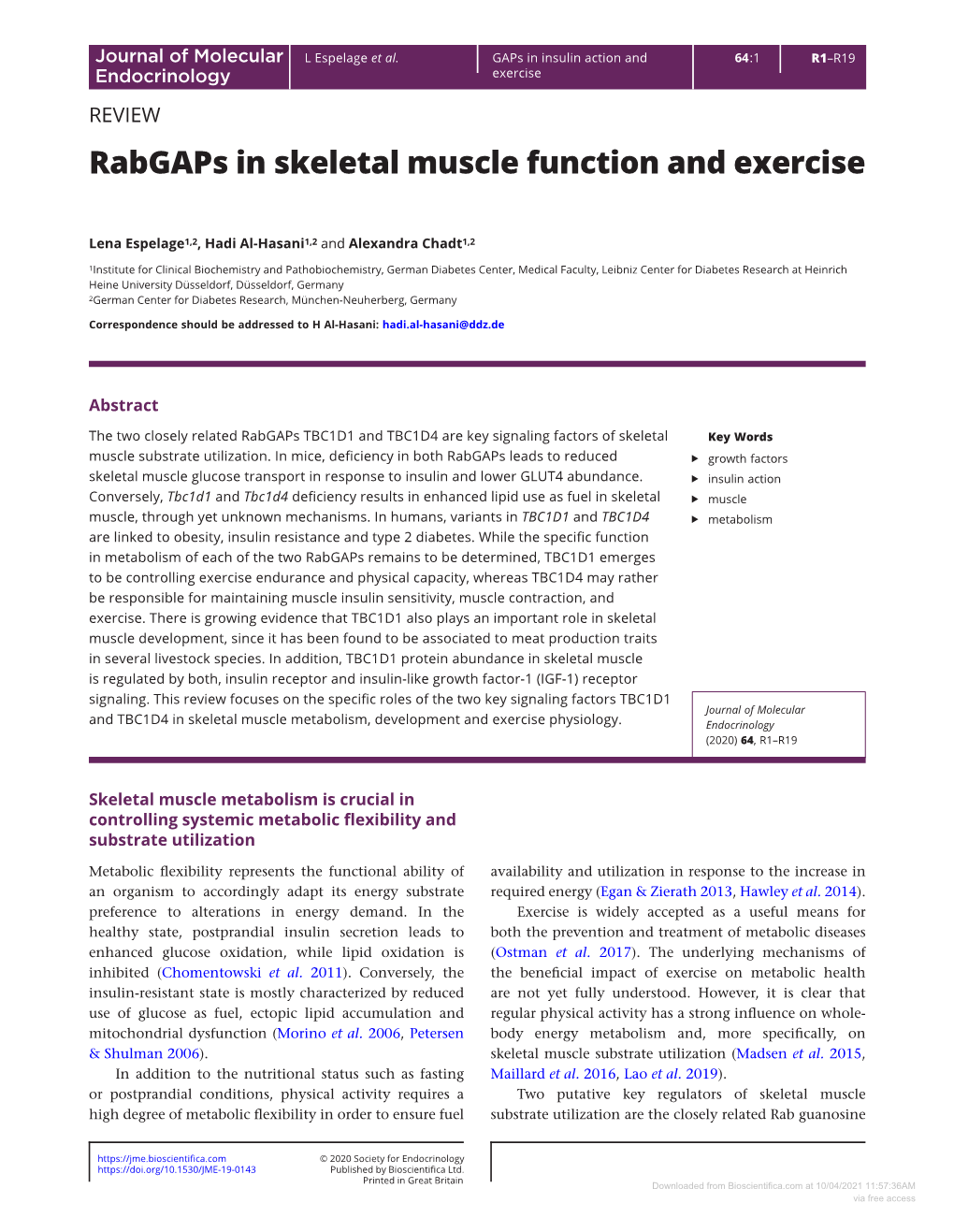 Rabgaps in Skeletal Muscle Function and Exercise