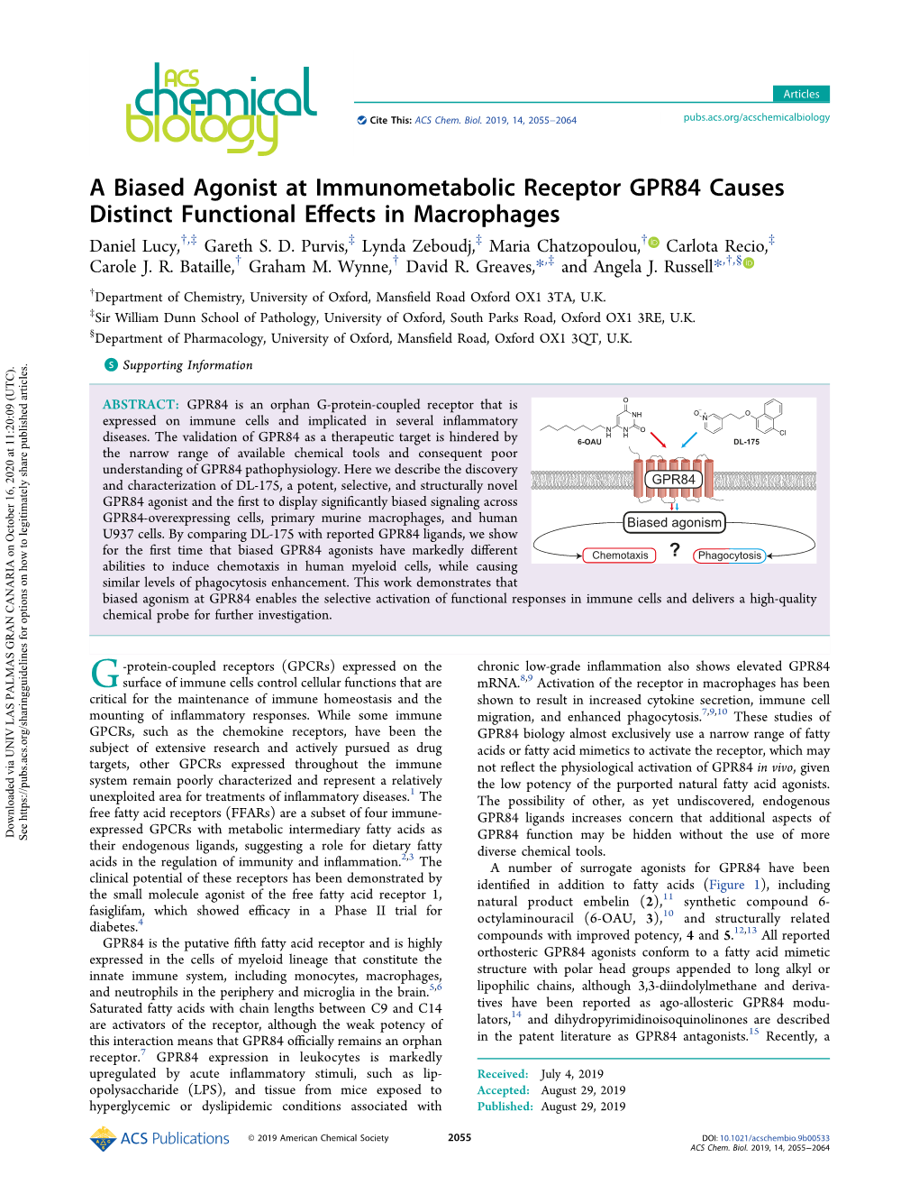 A Biased Agonist at Immunometabolic Receptor GPR84 Causes Distinct Functional Eﬀects in Macrophages † ‡ ‡ ‡ † ‡ Daniel Lucy, , Gareth S