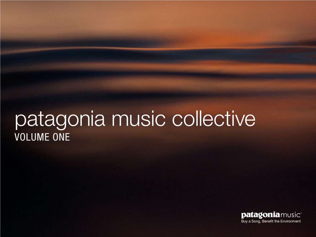 Patagonia Music Collective