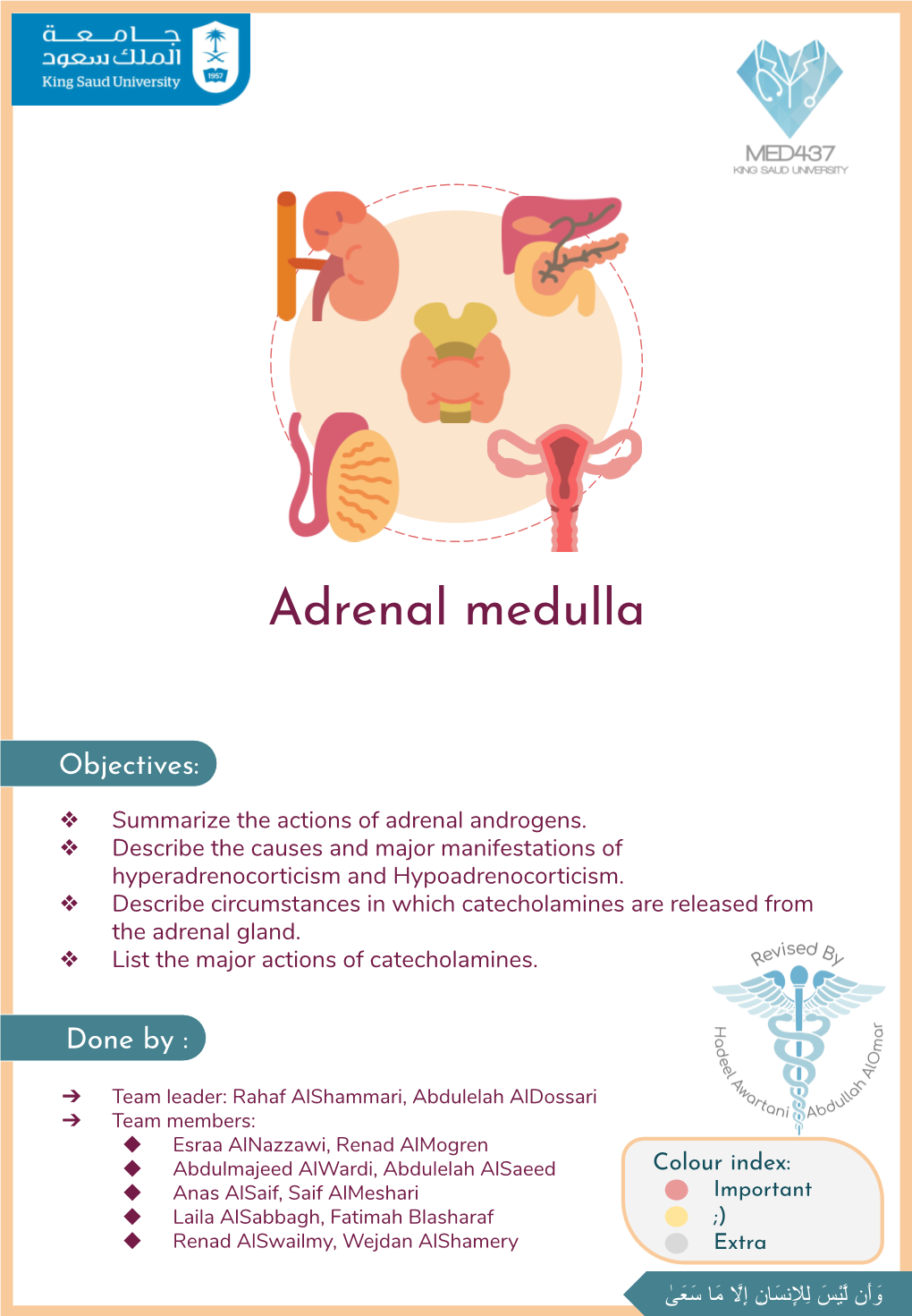 Adrenal Medulla