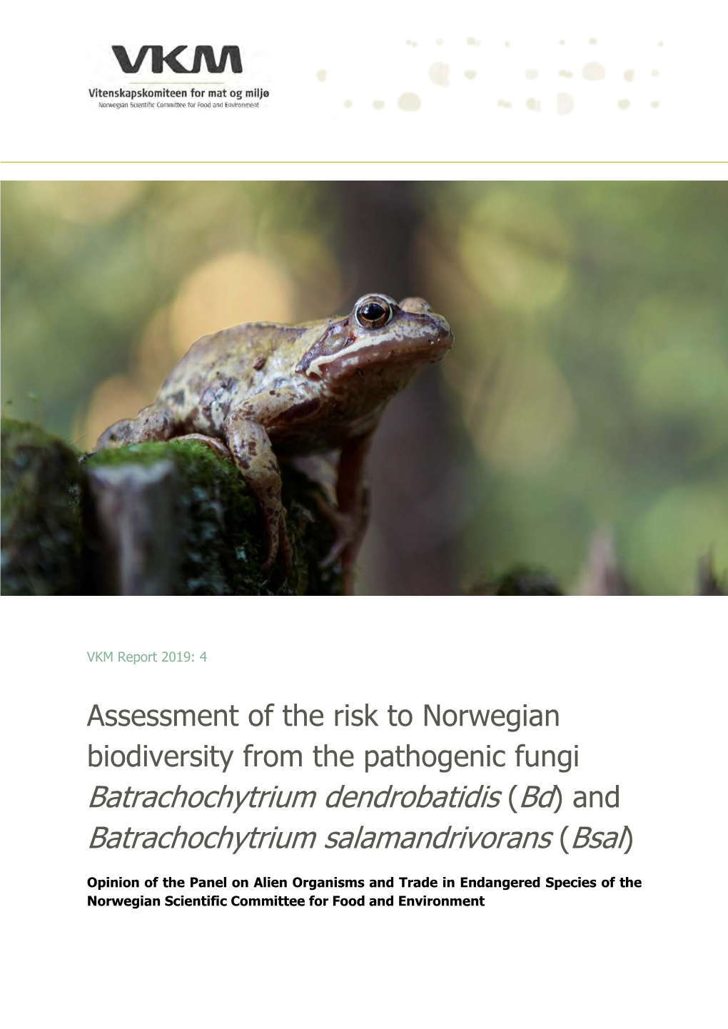 Risikovurdering Av Bd Og Bsal Samt Cytridiomykose I Norge