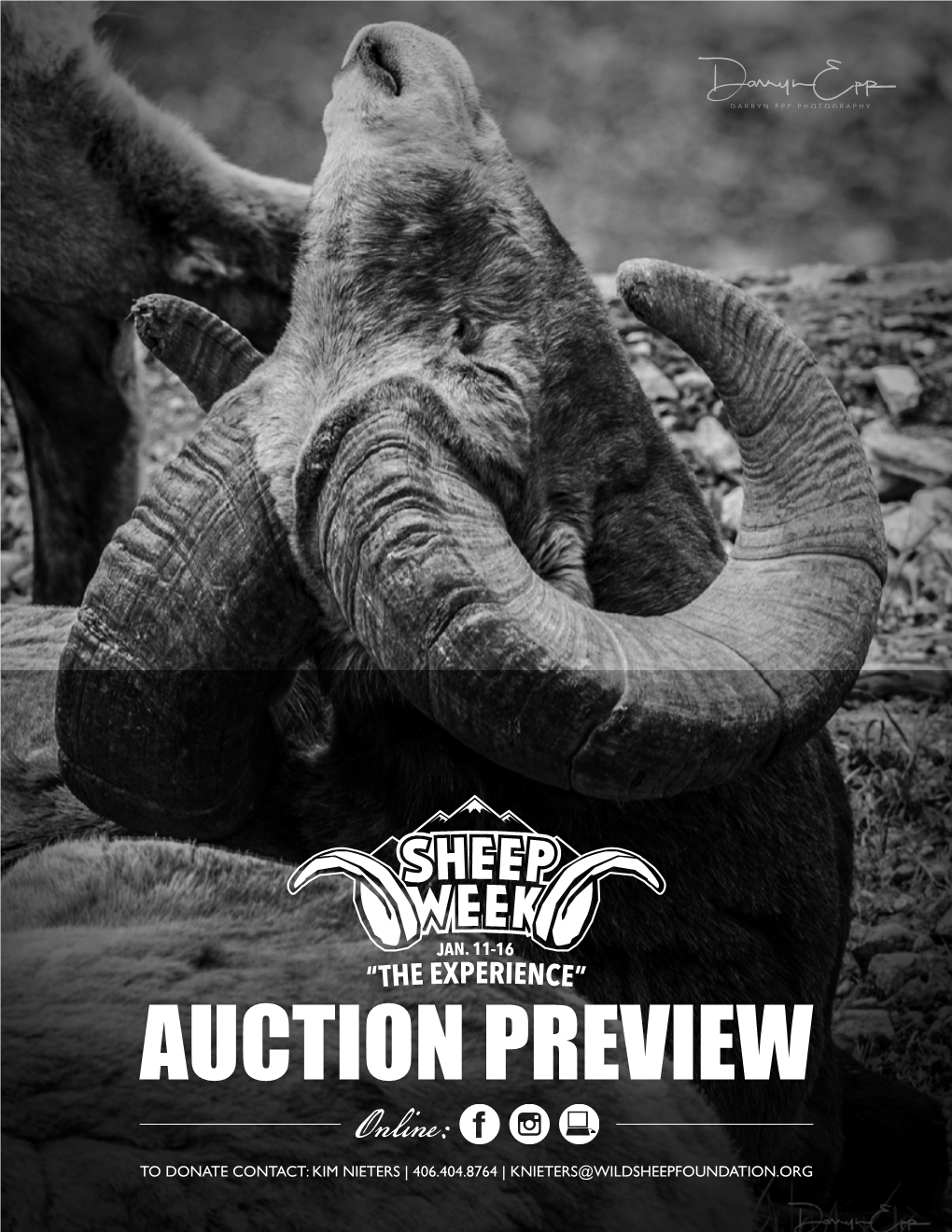 Auction Preview