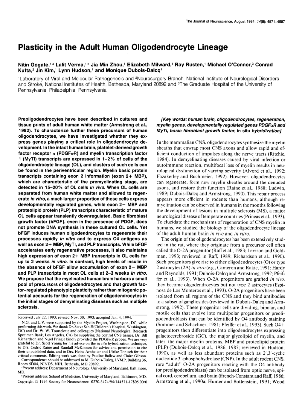 Plasticity in the Adult Human Oligodendrocyte Lineage