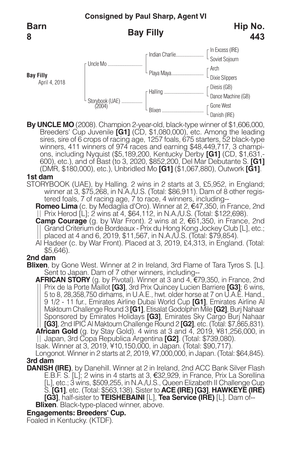 Bay Filly Barn 8 Hip No