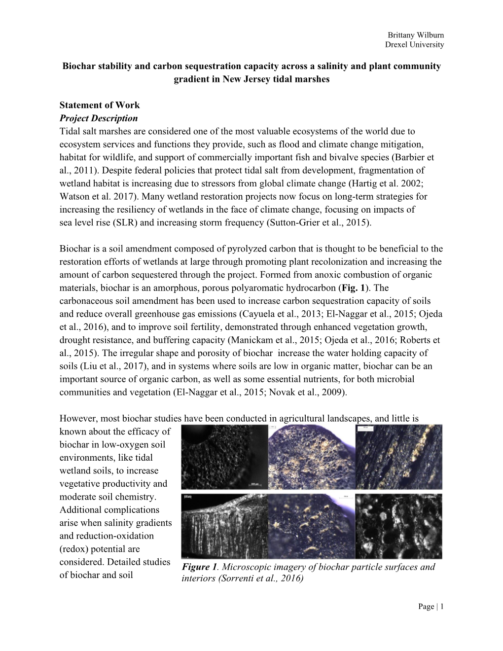 Biochar Stability and Carbon Sequestration Capacity Across a Salinity and Plant Community Gradient in New Jersey Tidal Marshes