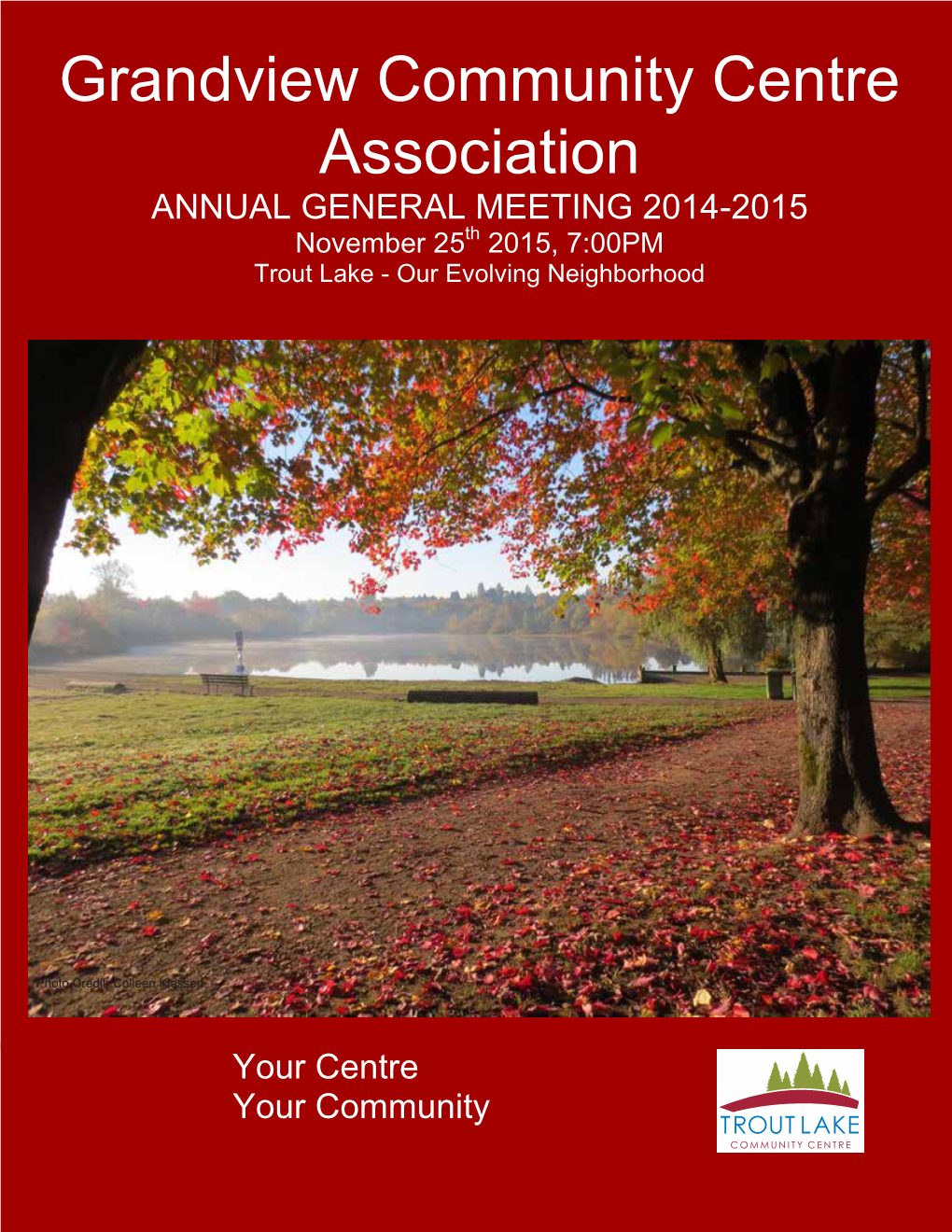 Grandview Community Centre Association 2015 Annual Report