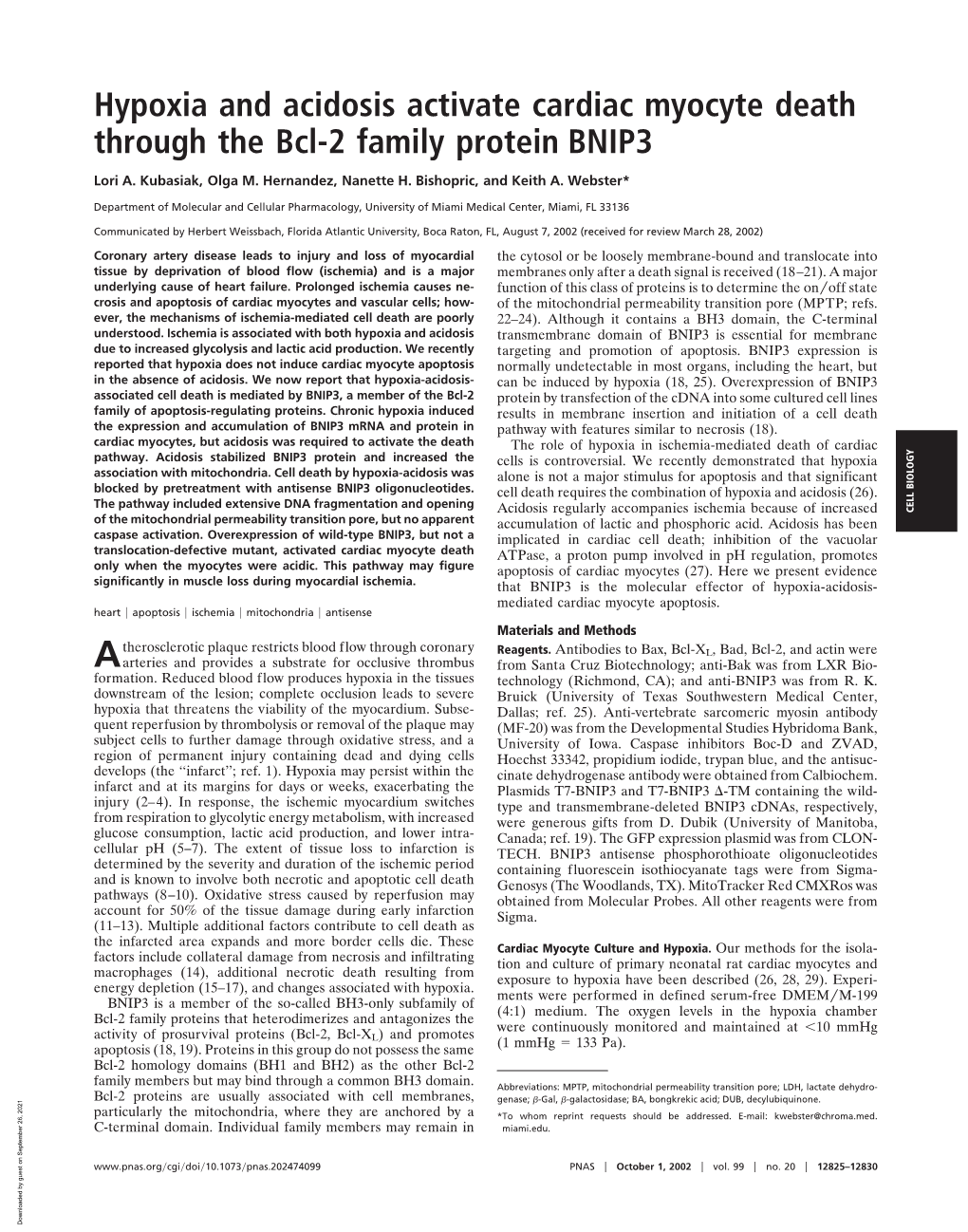 Hypoxia and Acidosis Activate Cardiac Myocyte Death Through the Bcl-2 Family Protein BNIP3