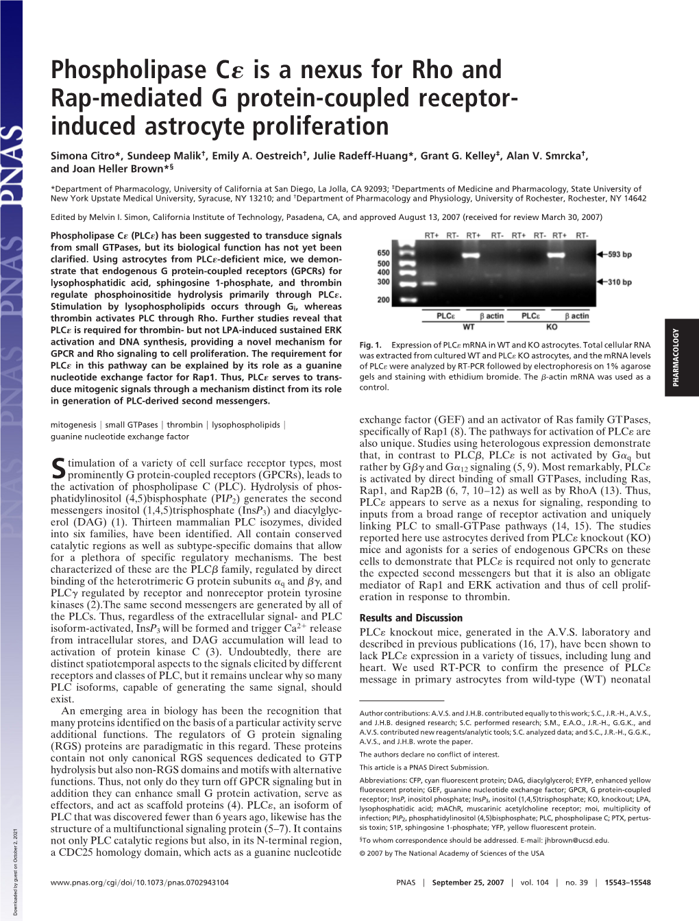 Phospholipase C Is a Nexus for Rho and Rap-Mediated G Protein