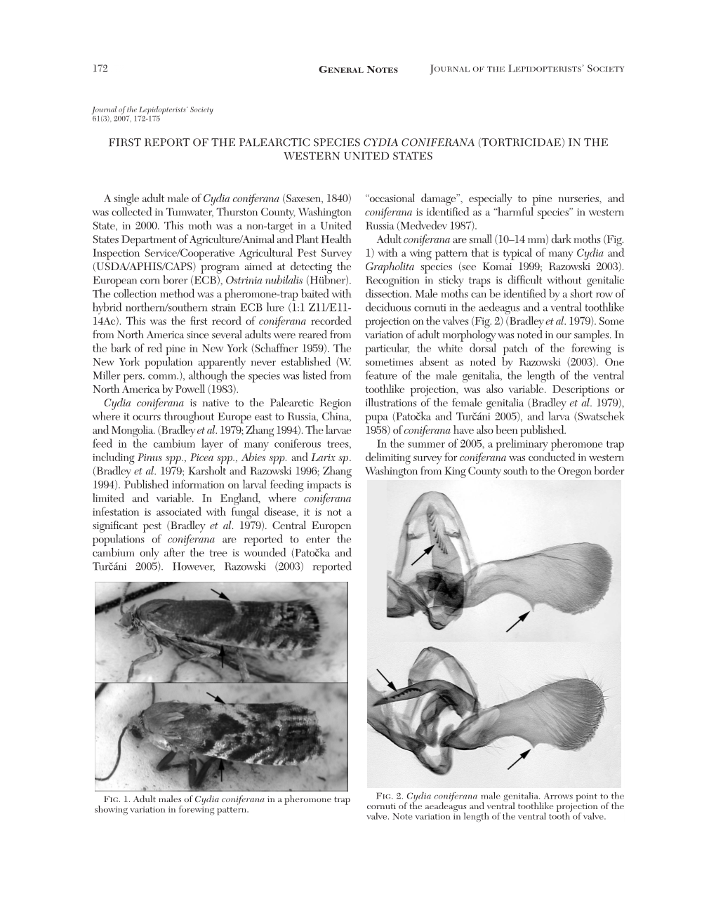 Tortricidae) in the Western United States