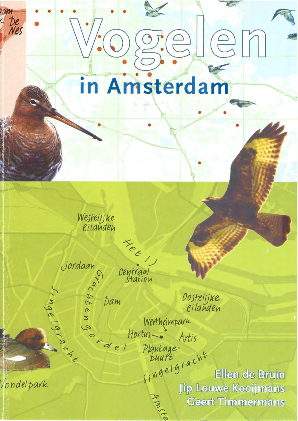 Download De Gids Vogelen in Amsterdam