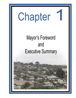 Chapter 1 Annual Report Nketoana Arevised