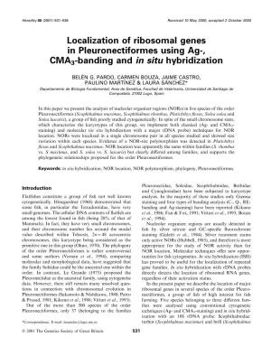 Localization of Ribosomal Genes in Pleuronectiformes Using Ag-, CMA3-Banding and in Situ Hybridization