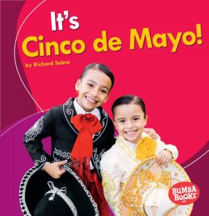 It's Cinco De Mayo! by Richard Sebra