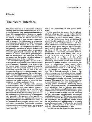 The Pleural Interface