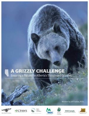 A GRIZZLY CHALLENGE Ensuring a Future for Alberta’S Threatened Grizzlies