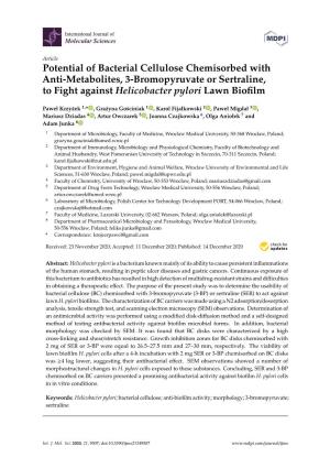 Potential of Bacterial Cellulose Chemisorbed with Anti-Metabolites, 3-Bromopyruvate Or Sertraline, to Fight Against Helicobacter Pylori Lawn Bioﬁlm