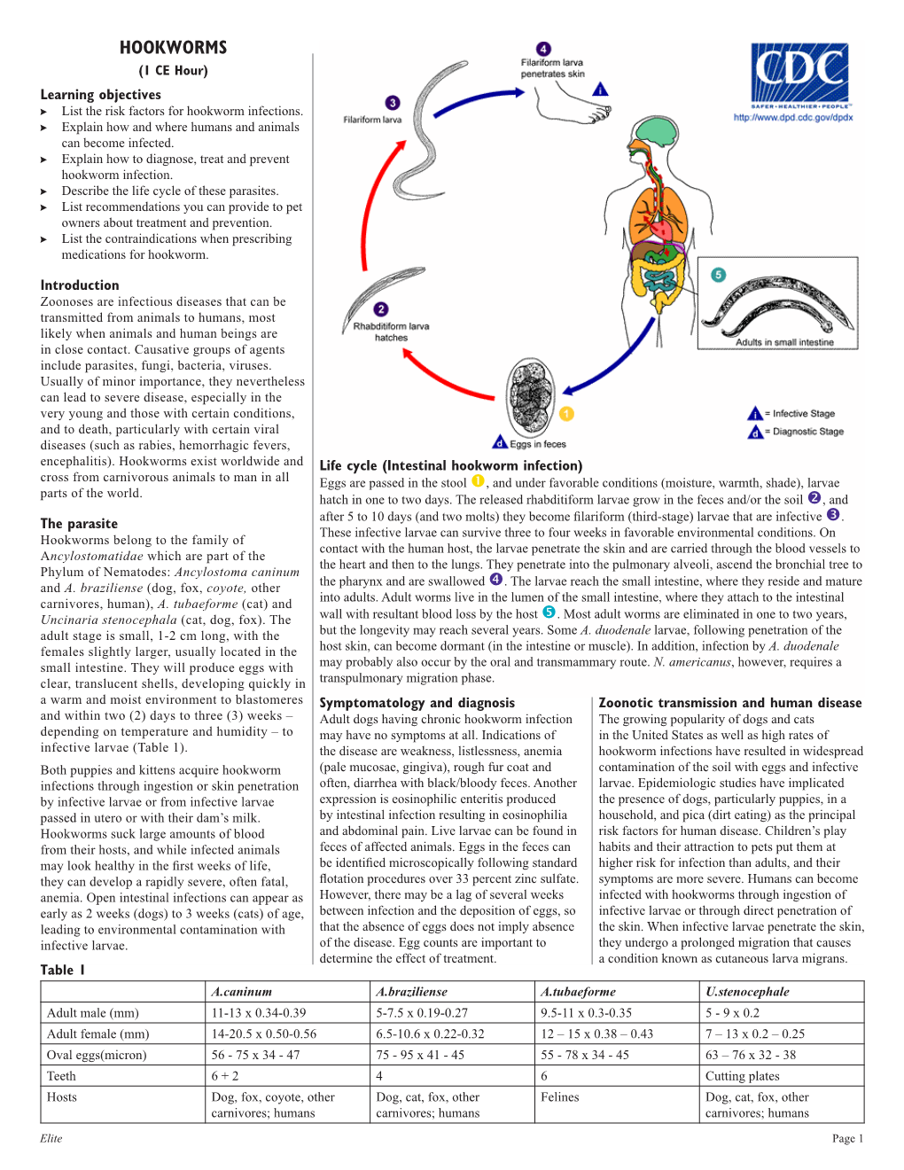 HOOKWORMS (1 CE Hour) Learning Objectives !! List the Risk Factors for Hookworm Infections