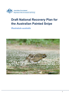 Draft National Recovery Plan for the Australian Painted Snipe Rostratula Australis