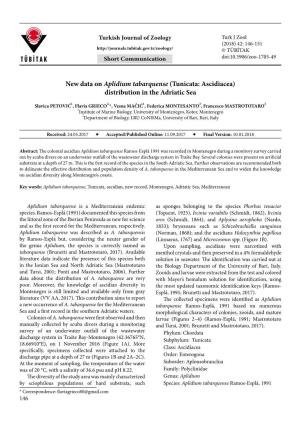 New Data on Aplidium Tabarquense (Tunicata: Ascidiacea) Distribution in the Adriatic Sea