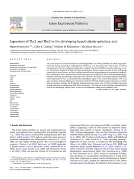 Expression of Tbx2 and Tbx3 in the Developing Hypothalamic–Pituitary Axis