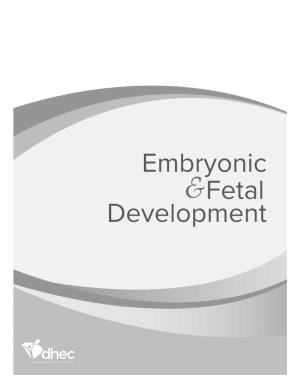 Embryonic & Fetal Development