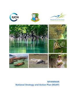 MYANMAR National Strategy and Action Plan (NSAP)