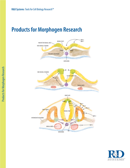 Products for Morphogen Research