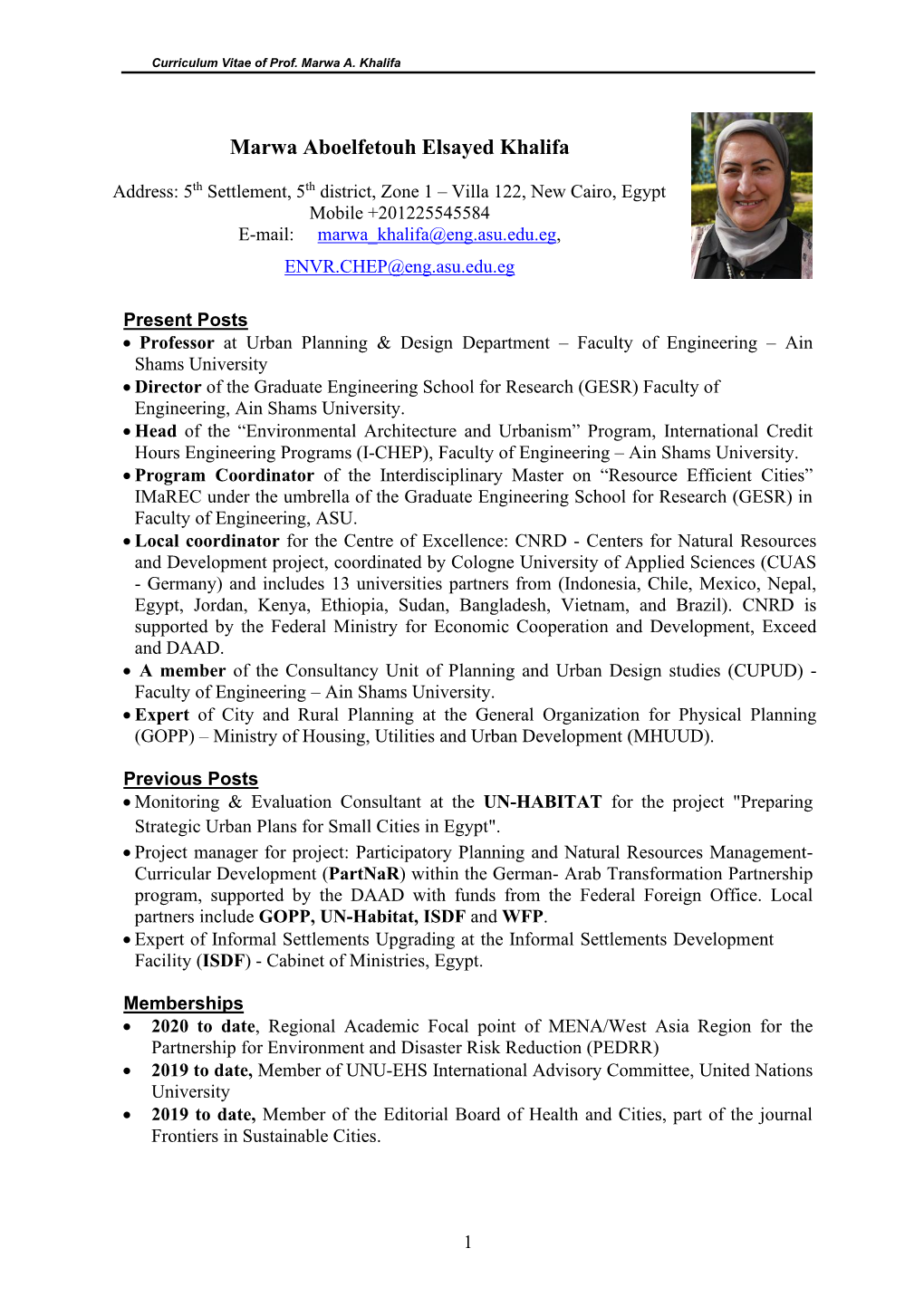 Curriculum Vitae of Prof