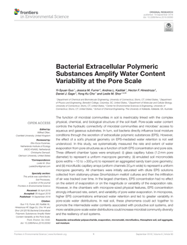 Bacterial Extracellular Polymeric Substances Amplify Water Content Variability at the Pore Scale