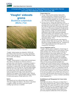 'Vaughn' Sideoats Grama Conservation Plant Release Brochure