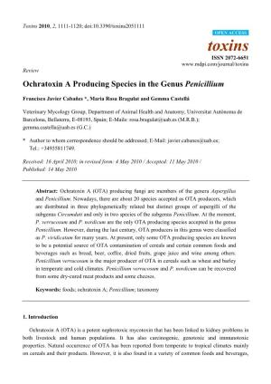 Ochratoxin a Producing Species in the Genus Penicillium